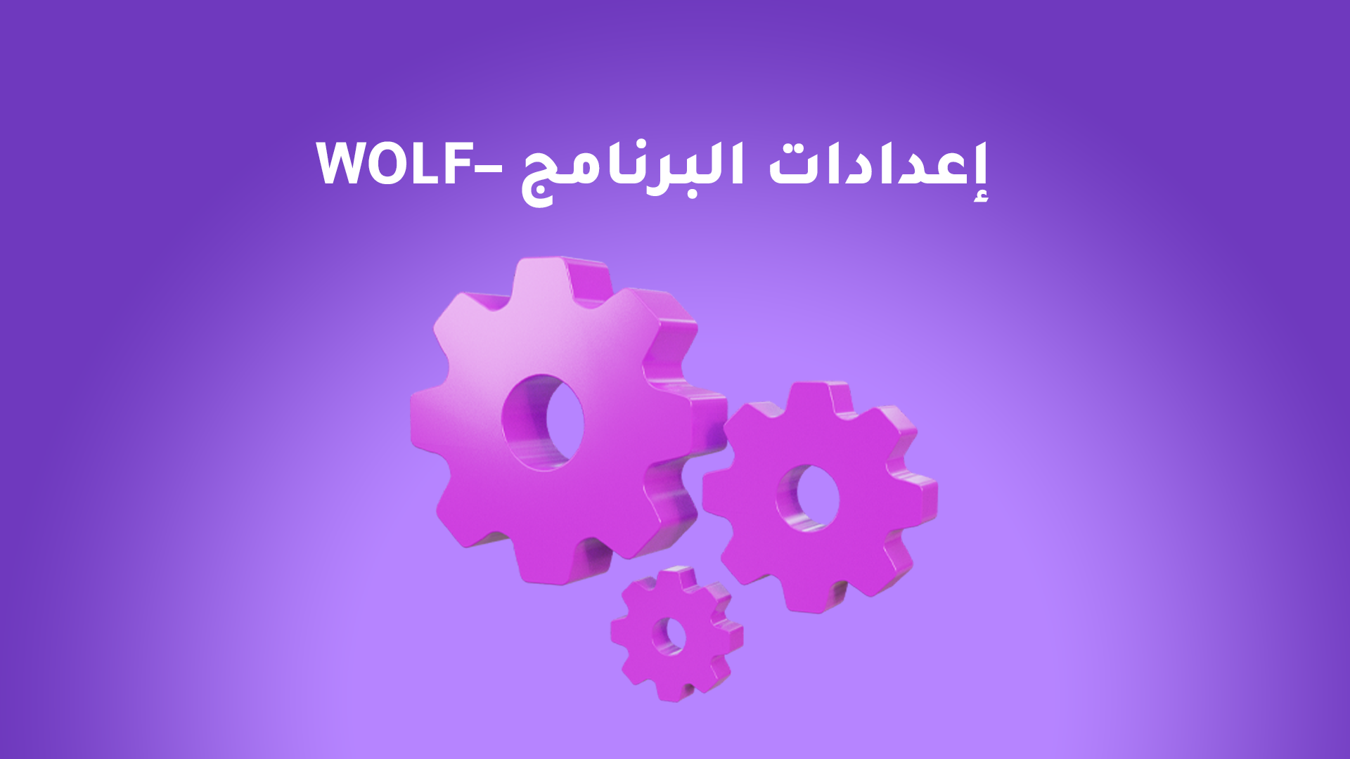 إعدادات البرنامج