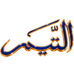 1ba0aa7a-0248-49b9-b095-fc0011c90041